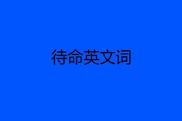 待命英文词