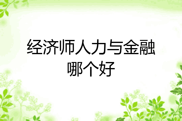 经济师人力与金融哪个好