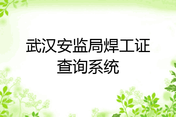 武汉安监局焊工证查询系统
