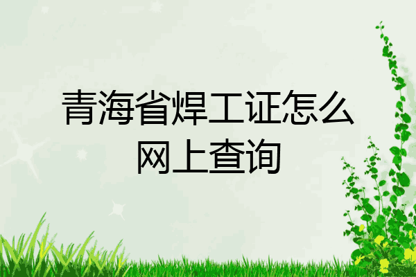青海省焊工证怎么网上查询