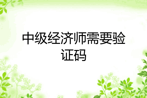 中级经济师需要验证码