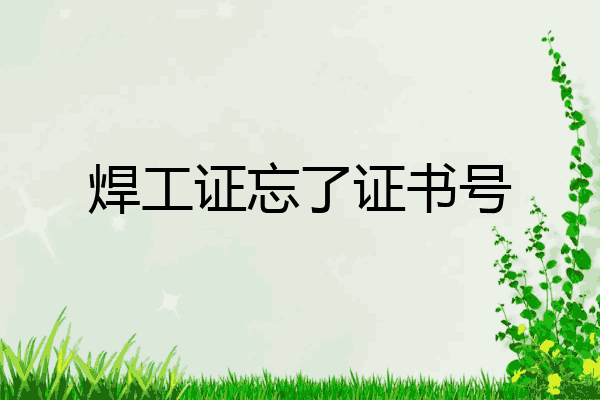 焊工证忘了证书号
