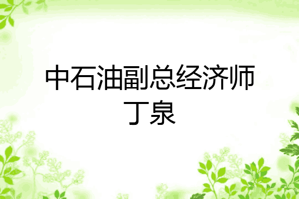 中石油副总经济师丁泉