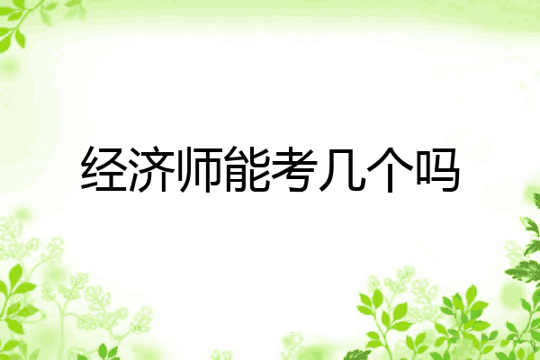 经济师能考几个吗