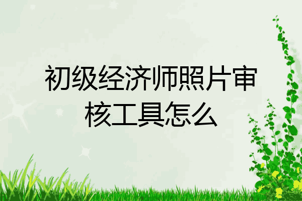 初级经济师照片审核工具怎么
