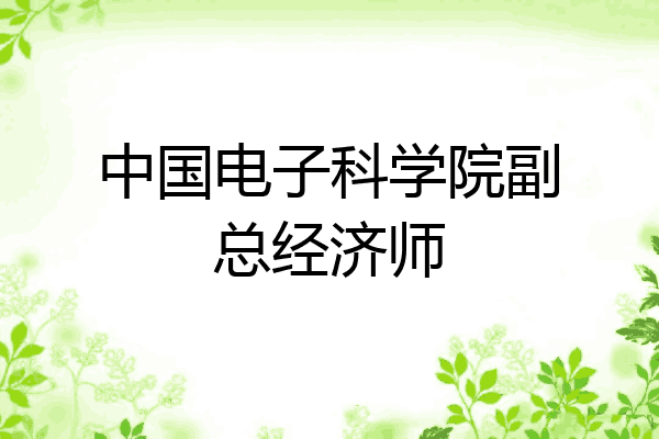中国电子科学院副总经济师