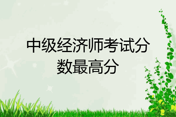 中级经济师考试分数最高分