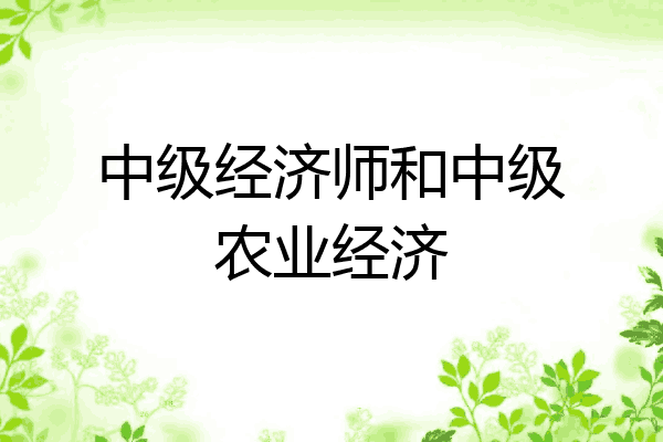 中级经济师和中级农业经济