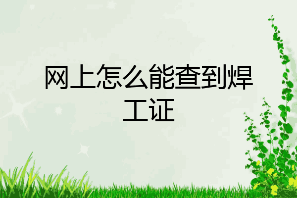 网上怎么能查到焊工证