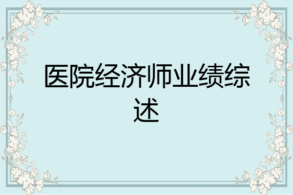 医院经济师业绩综述