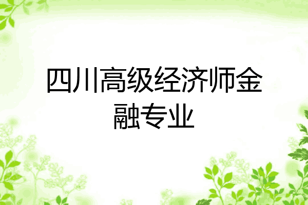 四川高级经济师金融专业