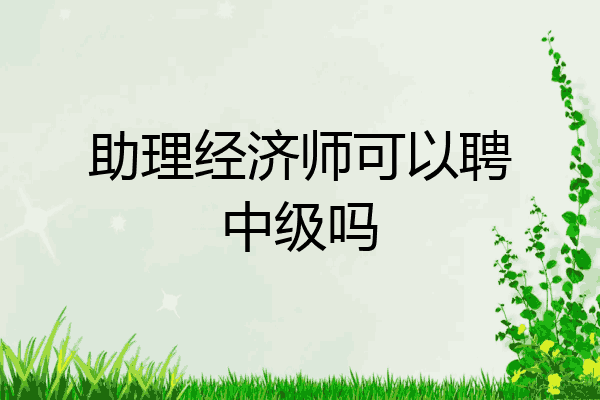 助理经济师可以聘中级吗