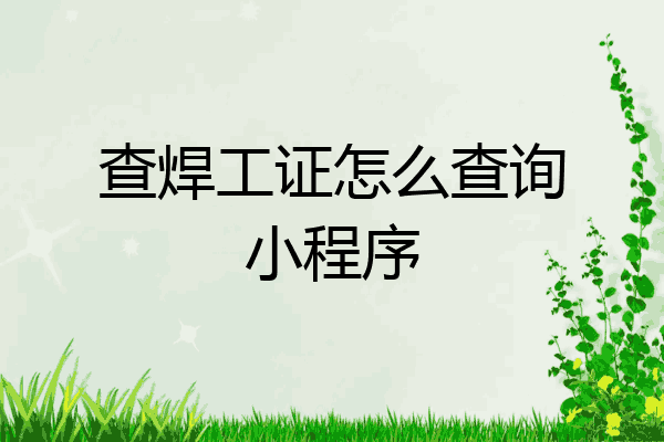 查焊工证怎么查询小程序