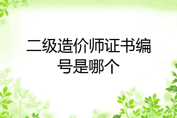 二级造价师证书编号是哪个