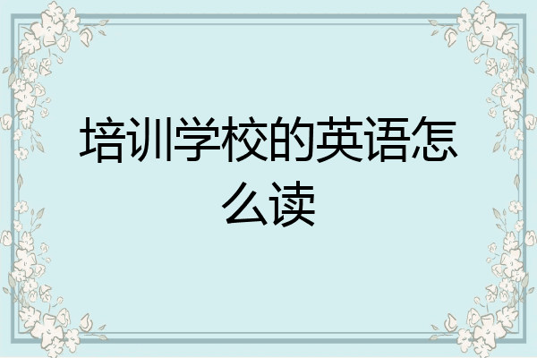 培训学校的英语怎么读
