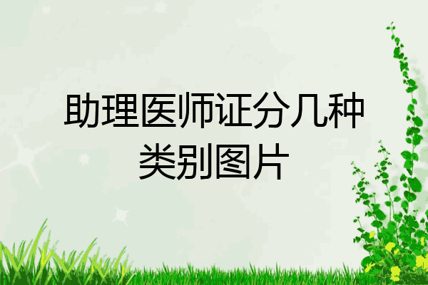 助理医师证分几种类别图片