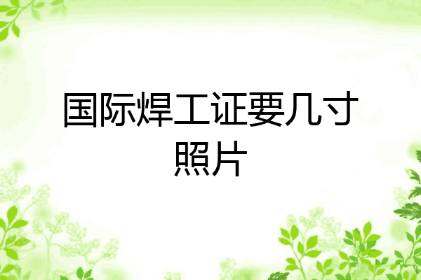 国际焊工证要几寸照片