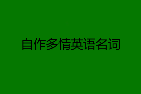 自作多情英语名词