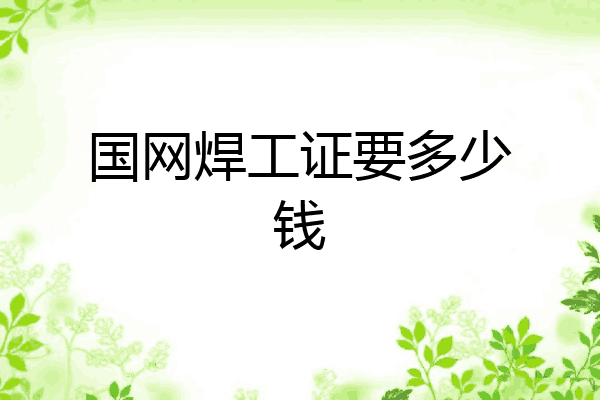 国网焊工证要多少钱