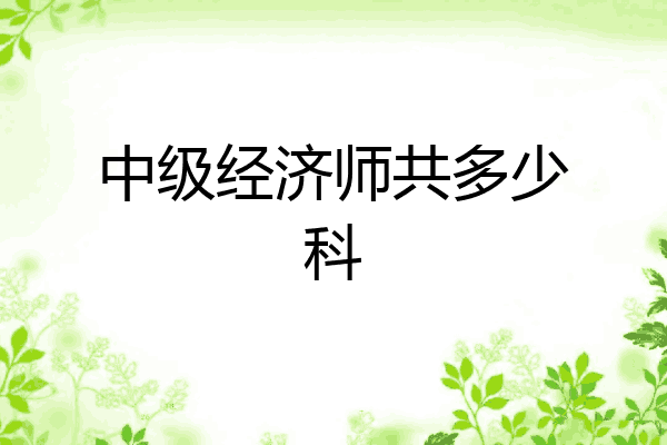中级经济师共多少科