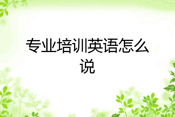 专业培训英语怎么说