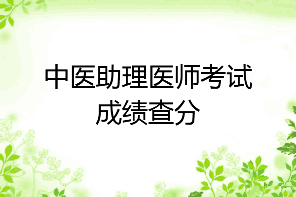 中医助理医师考试成绩查分