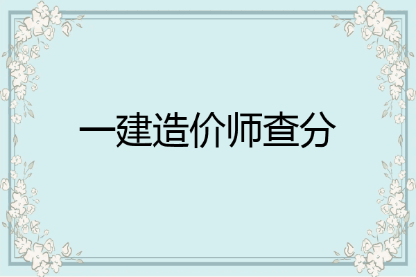 一建造价师查分