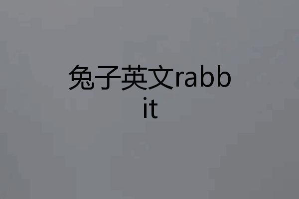 兔子英文rabbit