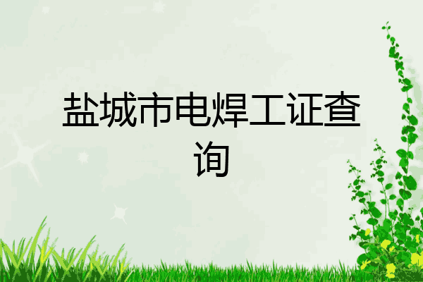 盐城市电焊工证查询