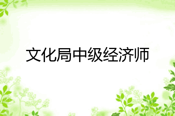 文化局中级经济师