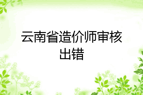云南省造价师审核出错