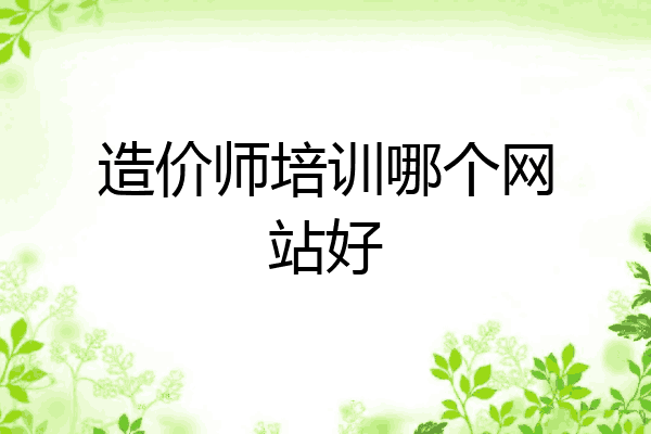 造价师培训哪个网站好