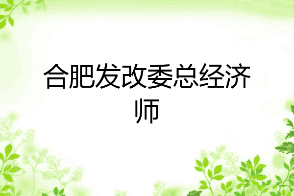 合肥发改委总经济师