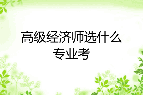 高级经济师选什么专业考