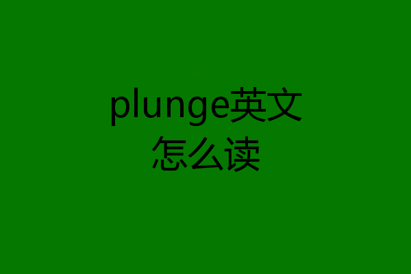 plunge英文怎么读
