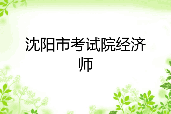 沈阳市考试院经济师