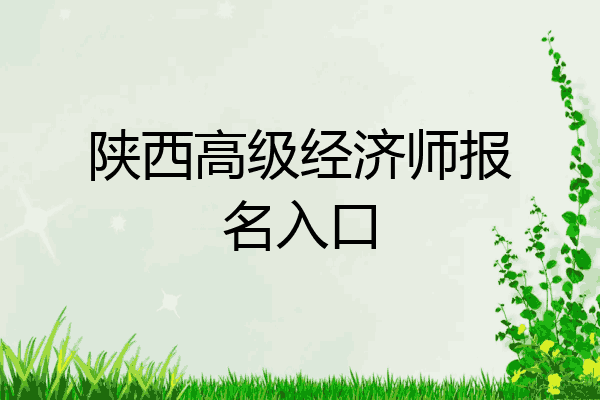 陕西高级经济师报名入口