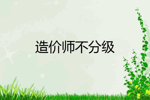 造价师不分级