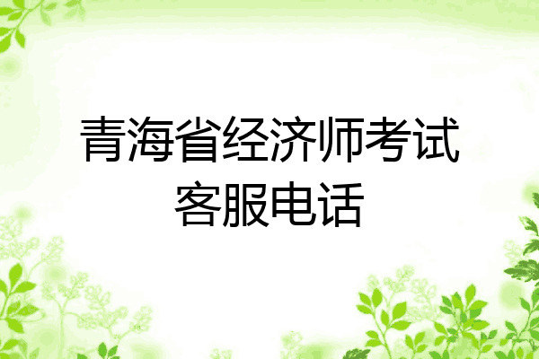 青海省经济师考试客服电话