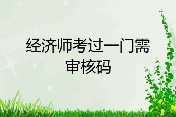 经济师考过一门需审核码