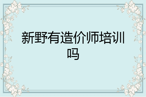 新野有造价师培训吗