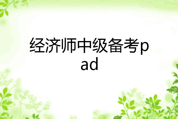 经济师中级备考pad