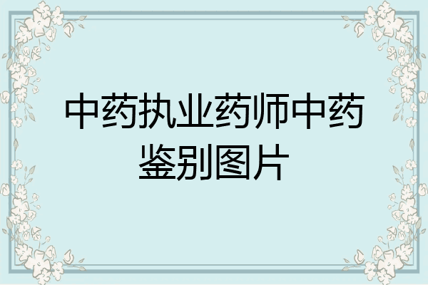 中药执业药师中药鉴别图片
