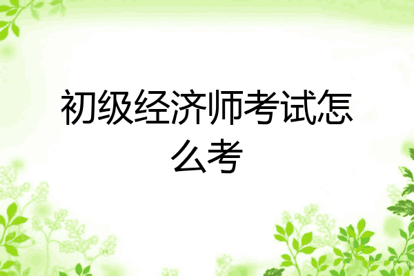 初级经济师考试怎么考