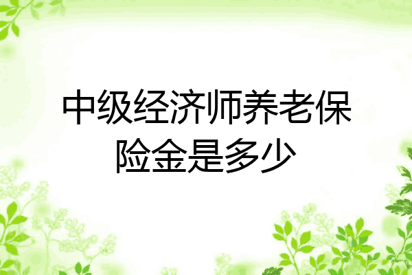 中级经济师养老保险金是多少
