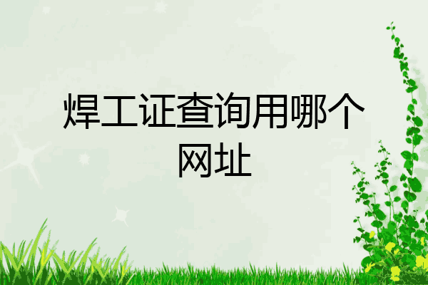 焊工证查询用哪个网址