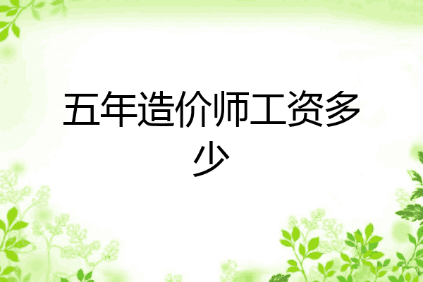 五年造价师工资多少