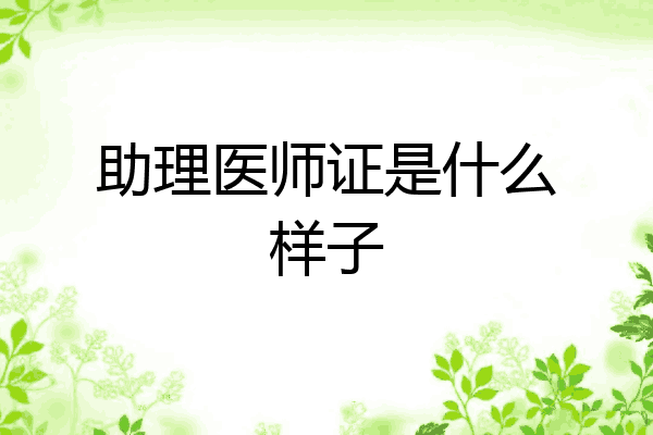 助理医师证是什么样子
