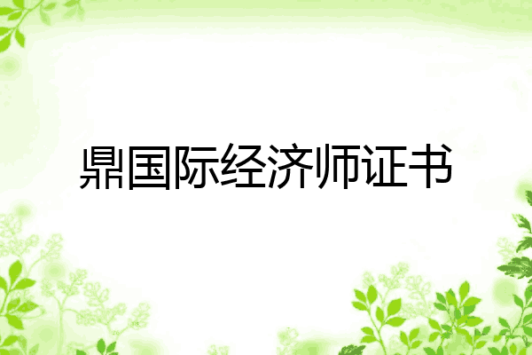 鼎国际经济师证书