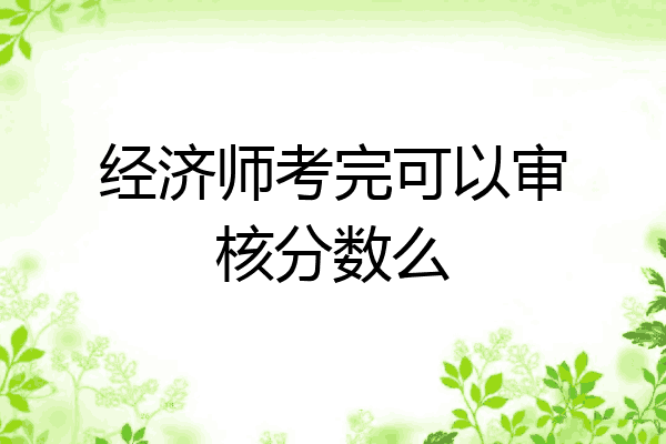 经济师考完可以审核分数么